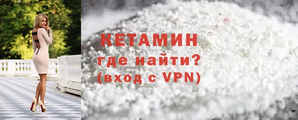 индика Каменногорск