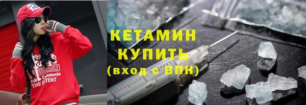 индика Каменногорск