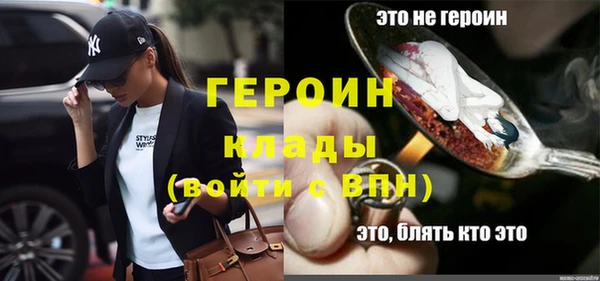 индика Каменногорск