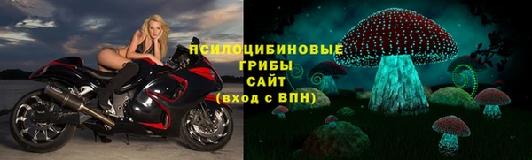 mdpv Каменка