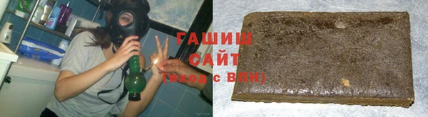 индика Каменногорск