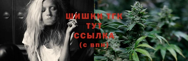 индика Каменногорск
