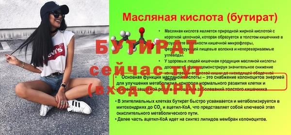индика Каменногорск