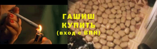 индика Каменногорск