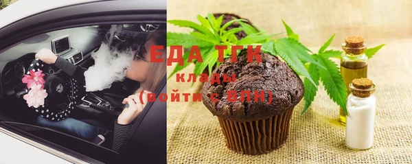 индика Каменногорск