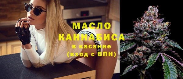 индика Каменногорск