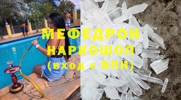 индика Каменногорск
