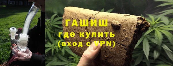 индика Каменногорск