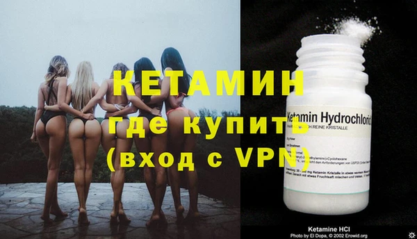 индика Каменногорск