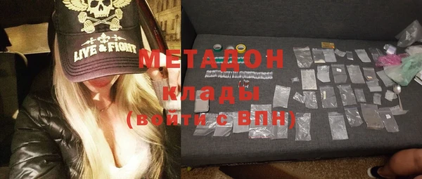 индика Каменногорск