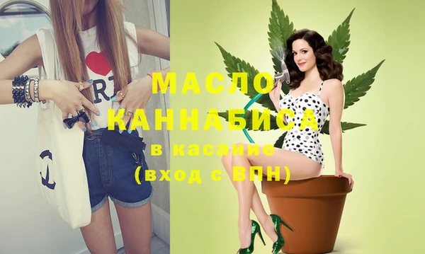 индика Каменногорск