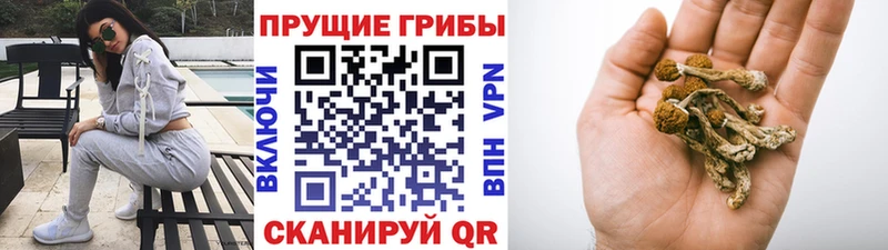 Галлюциногенные грибы ЛСД Ленинск